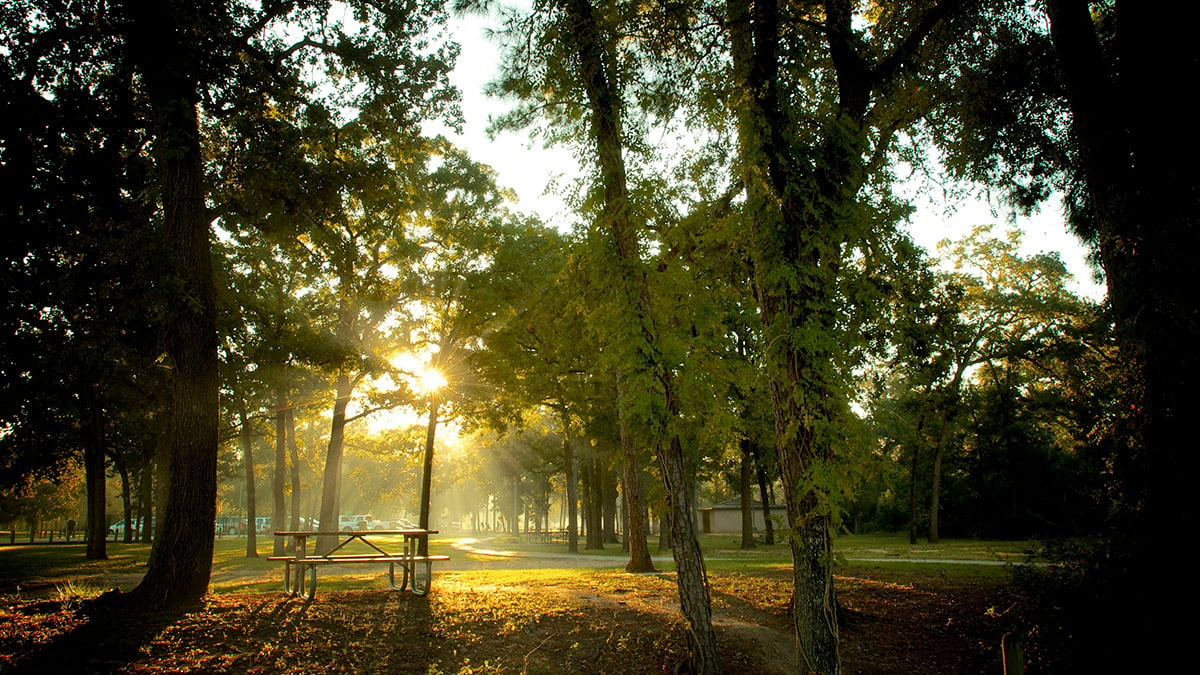 67073_signature_MemorialPark-Houston