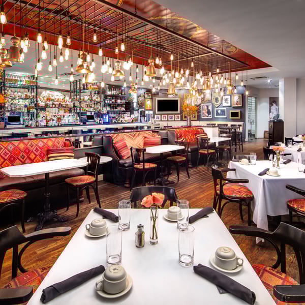 ZaZa-DAL-Dragonfly-Interior-CROPPED