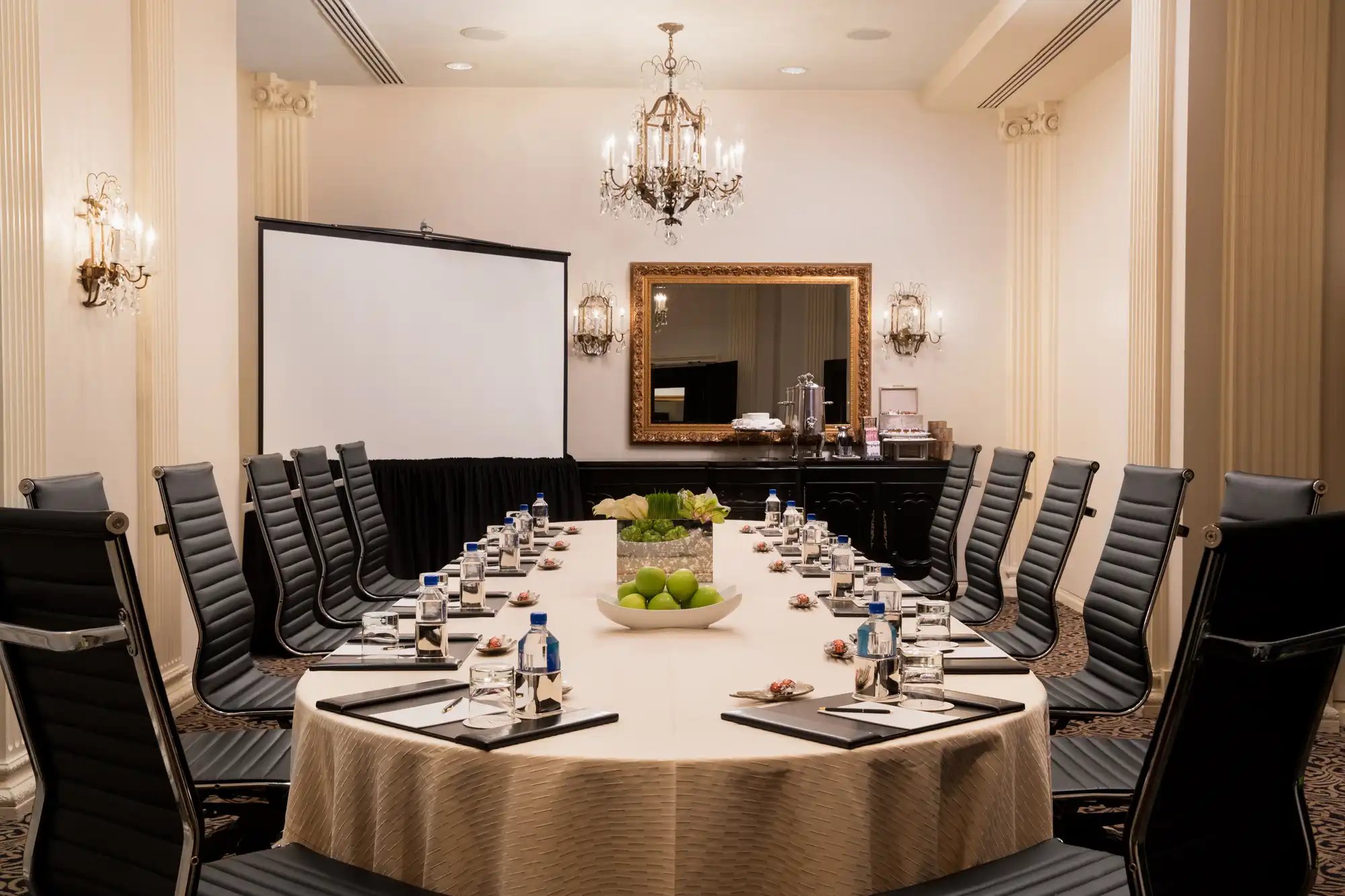 Hotel ZaZa Houston Museum District NAPOLEON Executive Meeting