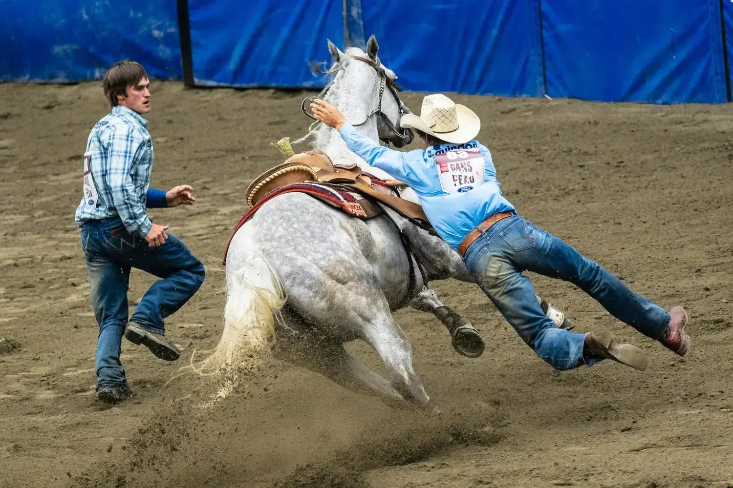 Rodeo - Photo by Andre Ouellet on Unsplash