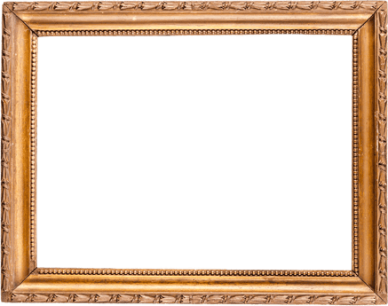 ZaZa-GoldFrame-DOG-GREEN-BED